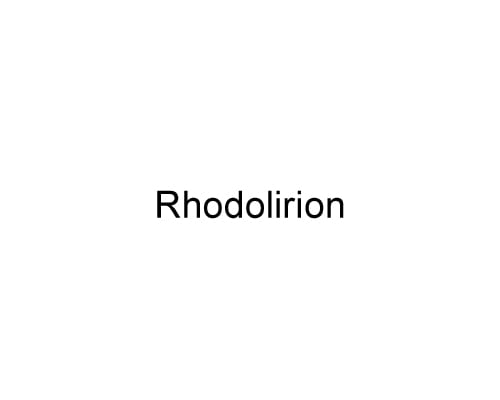 RhodolirioN