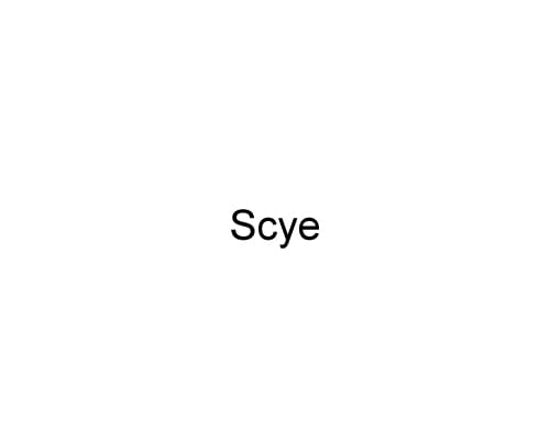 Scye