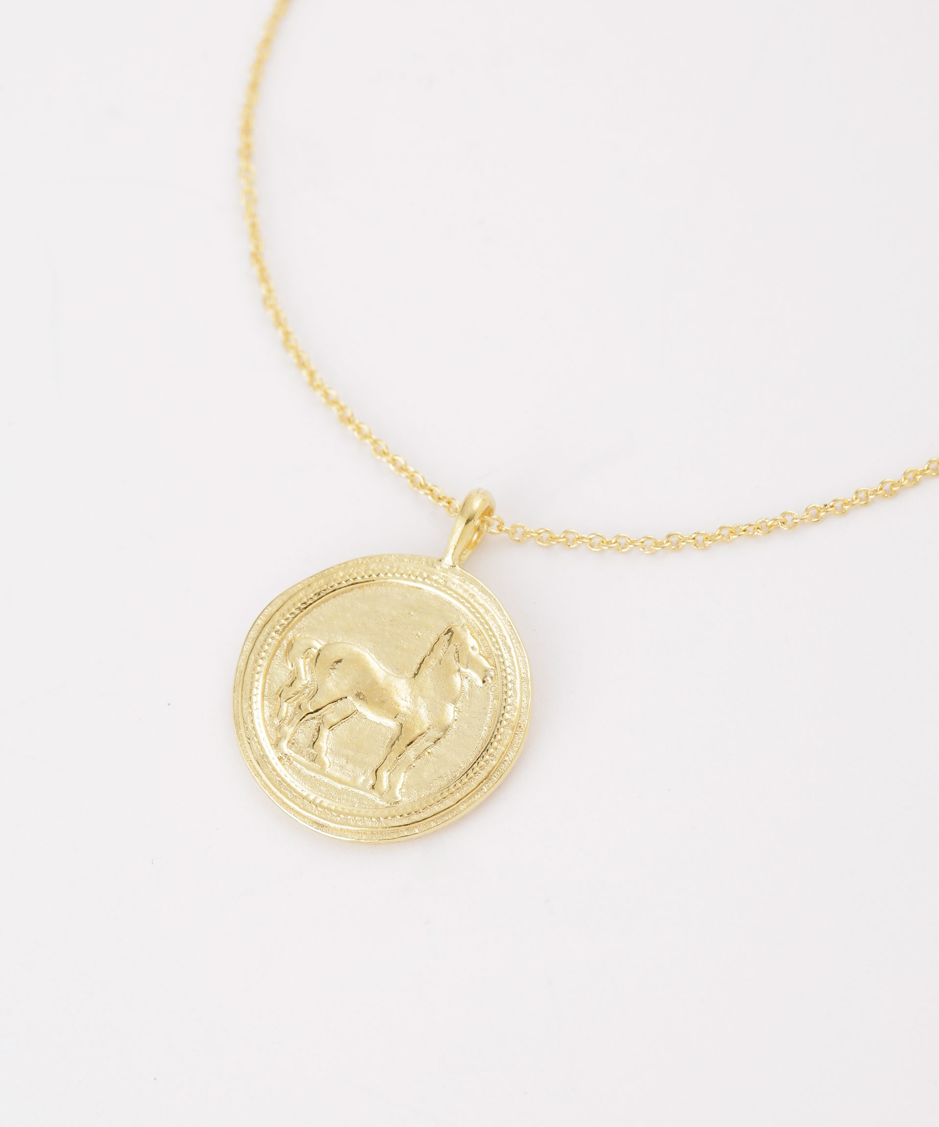 Greek Horse Coin Necklace その他画像3