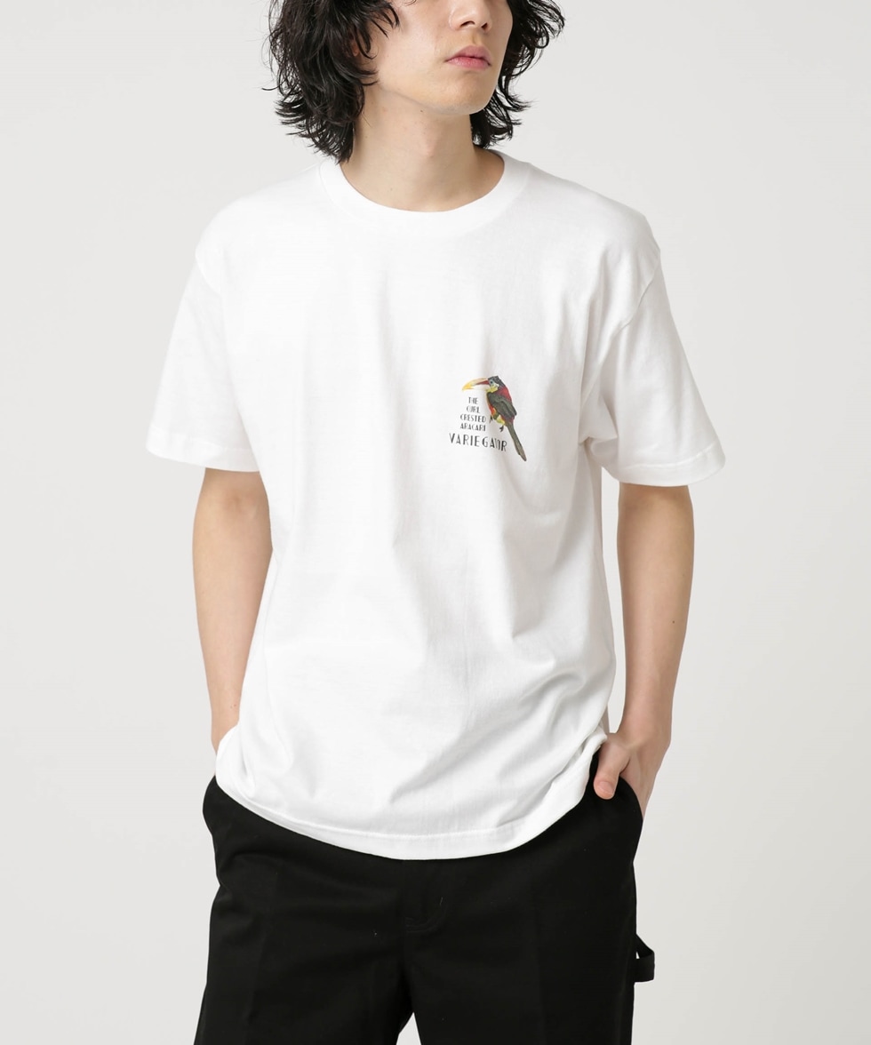 LB.04/「Variegator別注」バードプリントTシャツ / ブラック
