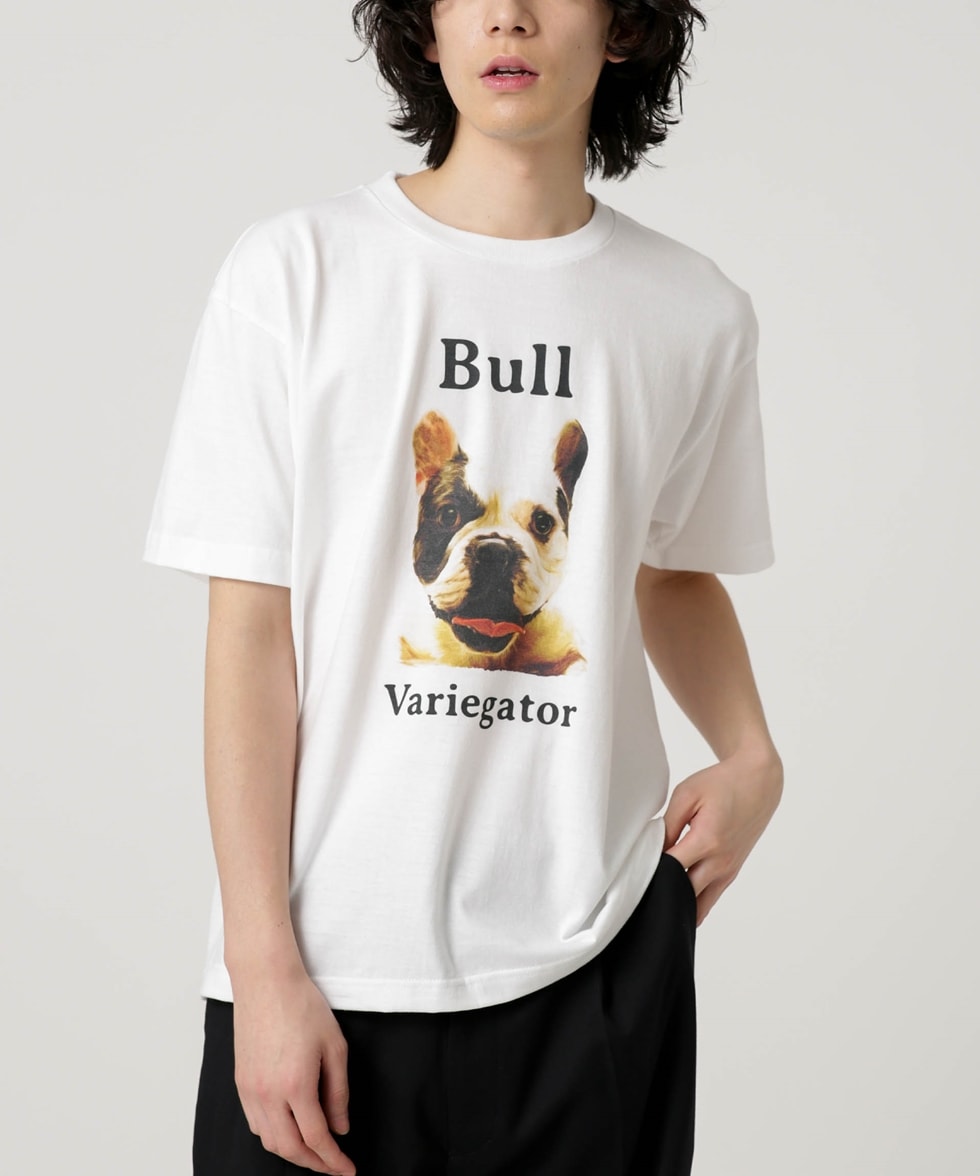 LOUIS VUITTON DOG'S BAR Tシャツ オレンジ黒 犬プリントプライス商品一覧